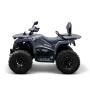 Квадроцикл Bizon YK250 LUX EFI ПТС