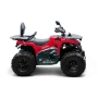 Квадроцикл Bizon YK250 LUX EFI ПТС