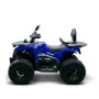 Квадроцикл Bizon YK250 LUX EFI ПТС
