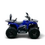 Квадроцикл Bizon YK250 LUX EFI ПТС