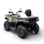 Электроквадроцикл Bizon YK450EL EPS ПСМ