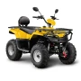 Квадроцикл Irbis ATV200 LUX ПТС