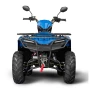 Квадроцикл Irbis ATV200 LUX ПТС
