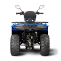 Квадроцикл Irbis ATV200 LUX ПТС