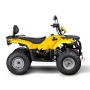 Квадроцикл Irbis ATV200 LUX ПТС