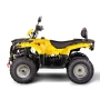 Квадроцикл Irbis ATV200 LUX ПТС