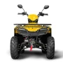 Квадроцикл Irbis ATV200 LUX ПТС