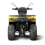 Квадроцикл Irbis ATV200 LUX ПТС