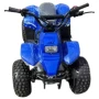 Квадроцикл детский Storm Robo 110 одна передача