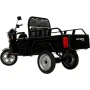 Грузовой электротрицикл BNP Zevs ULTRA MINI