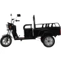 Грузовой электротрицикл BNP Zevs ULTRA MINI
