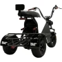 Электротрицикл BNP CITY Trio 310