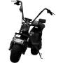 Электроскутер BNP CITY Duo 220