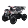 Квадроцикл QMC Torino 49cc электростартер