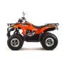 Квадроцикл Loncine ATV 200 MAX (мотокомплект)