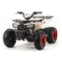 Квадроцикл MOTOLAND WILD Basic 125cc (мотокомплект)