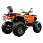 Квадрицикл Avantis Hunter 350 PREMIUM с ПТС