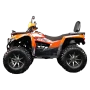 Квадрицикл Avantis Hunter 350 PREMIUM с ПТС