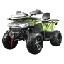 Квадроцикл Avantis H200 NEW BIG Premium (баланс. вал) 2026