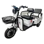 Электрический трицикл SHTENLI Model А034 (2в1) SLA 20Ач60В