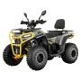 Квадрицикл Avantis Hammer 280L Lux ПТС