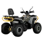 Квадрицикл Avantis Hammer 280L Lux ПТС