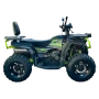Квадроцикл YACOTA VIKING LONG 250 PRO ПТС