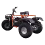 Трицикл ИжтехМаш ТРИТОН САФАРИ-3LE-10 лс KP270