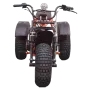 Трицикл ИжтехМаш ТРИТОН САФАРИ-3LE-10 лс KP270