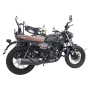 Мотоцикл ROLIZ WALKER ZS174MN-5A 300сс ПТС