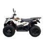 Квадроцикл KAYO AU300 EFI ПТС