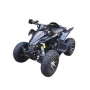 Квадроцикл ATV SPORTY 250 (мотокомплект)