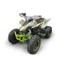 Квадроцикл YACOTA TYPHOON 250 (мотокомплект)