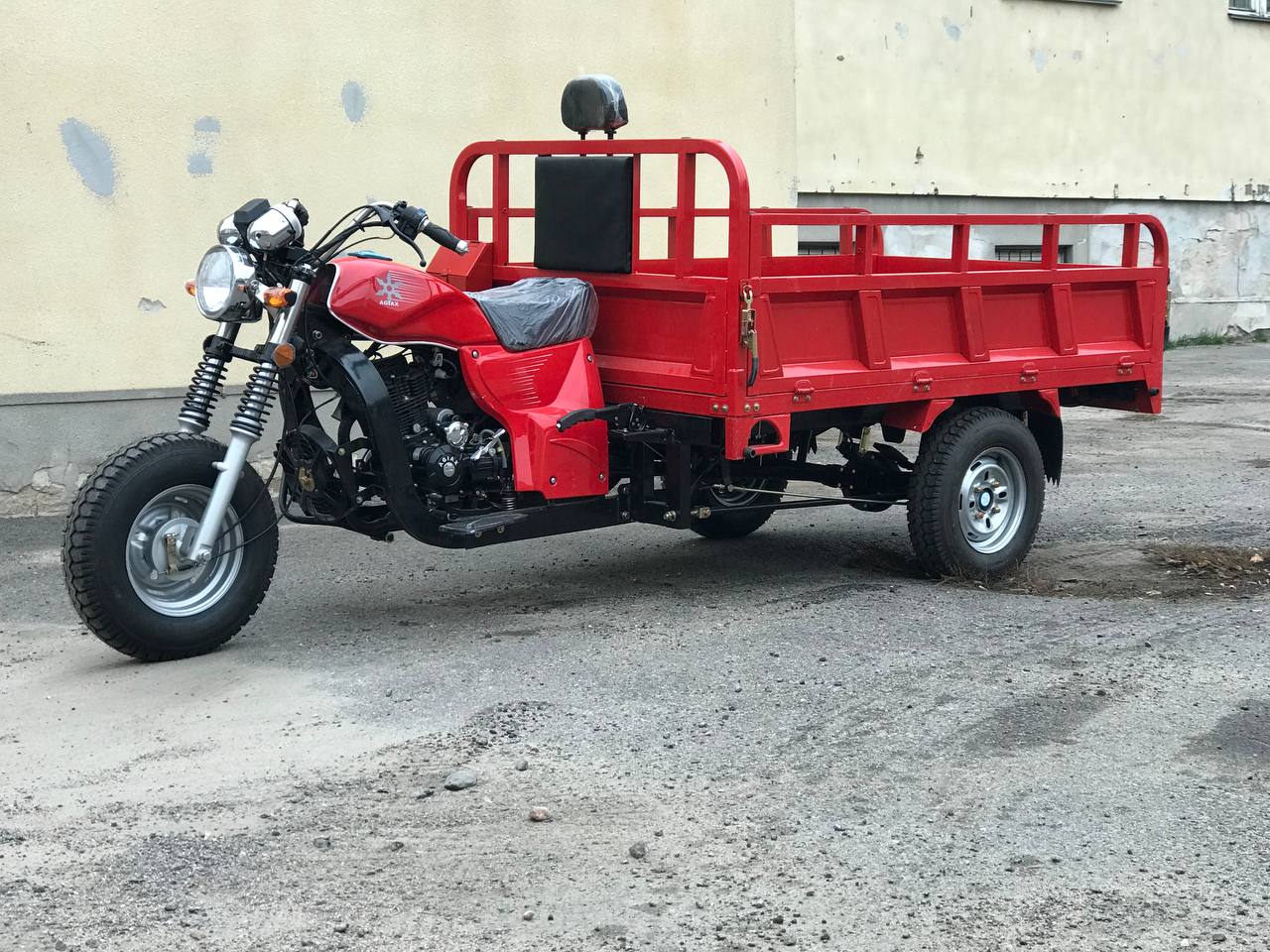 photo_2024-11-14_10-41-14