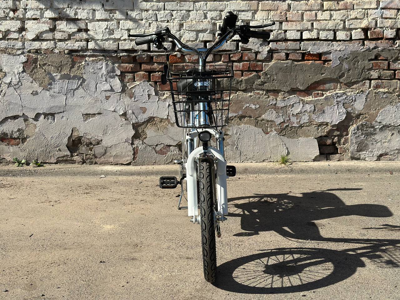 photo_8_2025-09-25_22-32-50