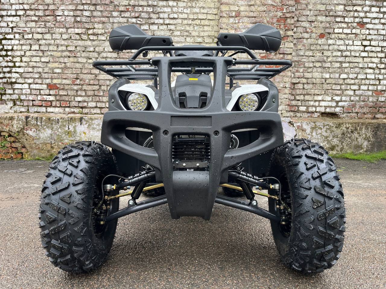 photo_35_2025-08-12_11-12-44