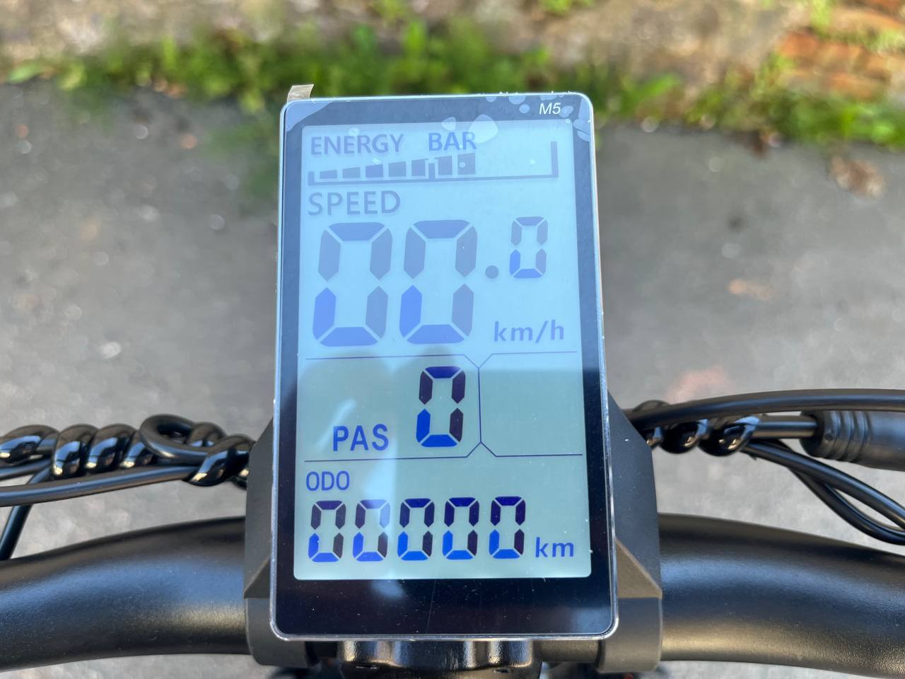 photo_32_2025-07-04_15-11-37