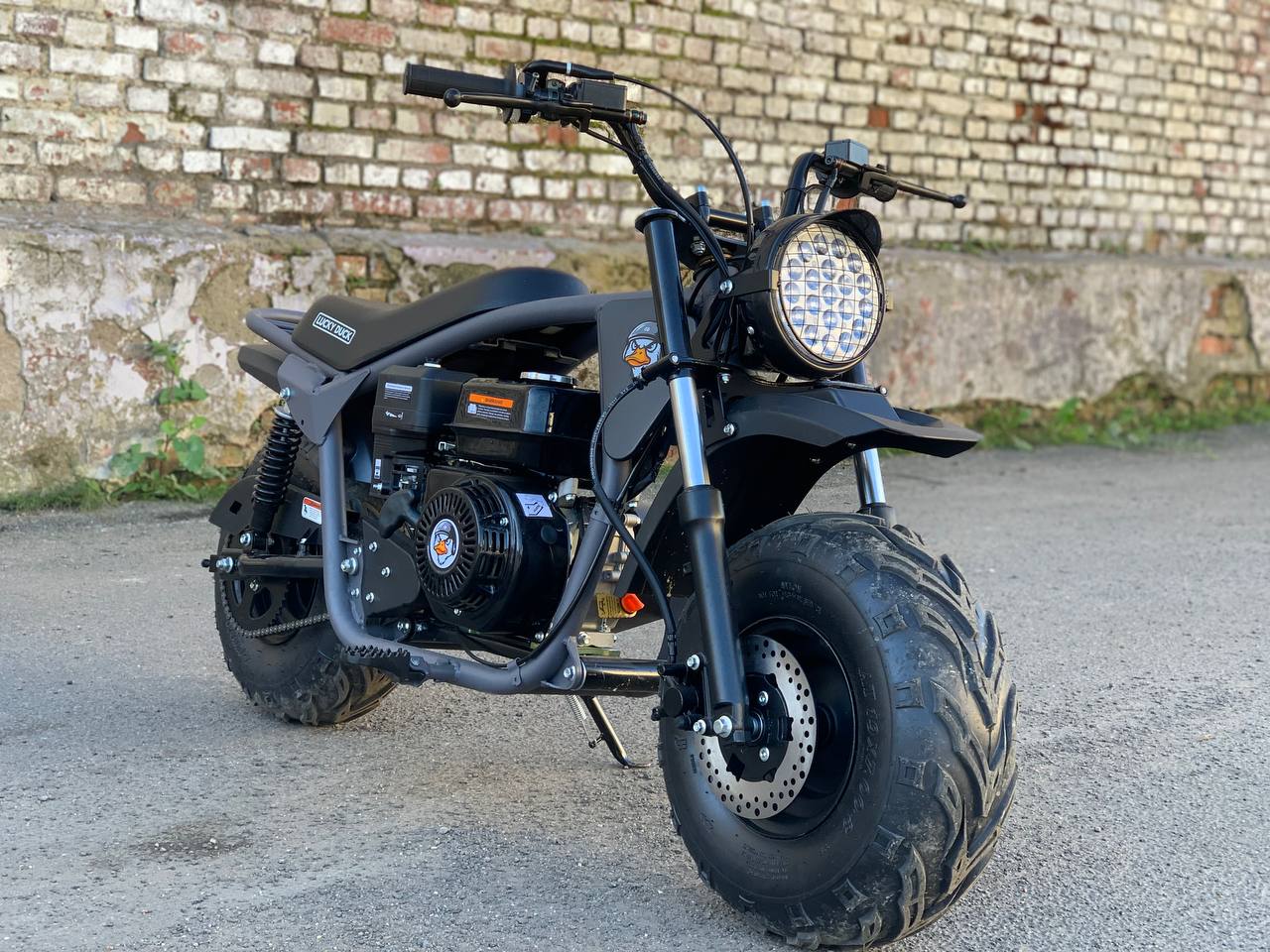 photo_19_2025-10-11_10-21-21