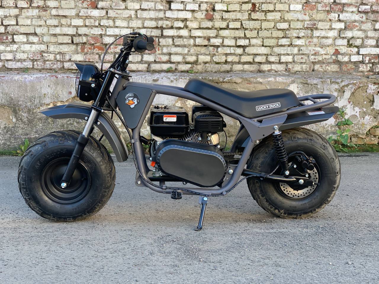 photo_1_2025-10-11_10-21-21