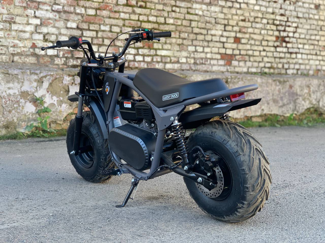 photo_26_2025-10-11_10-21-22