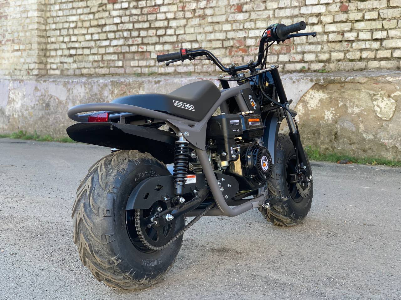 photo_28_2025-10-11_10-21-22