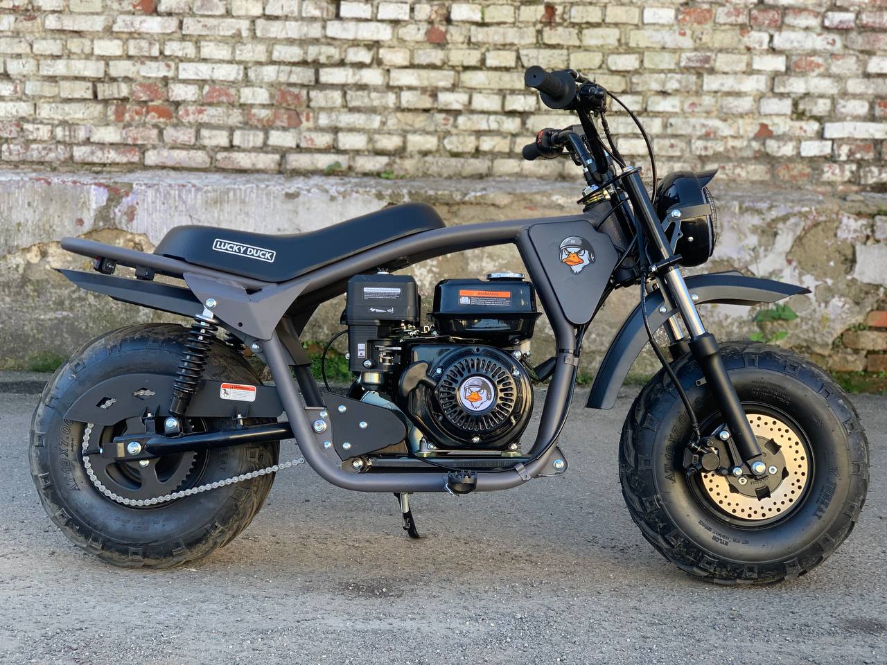 photo_9_2025-10-11_10-21-21