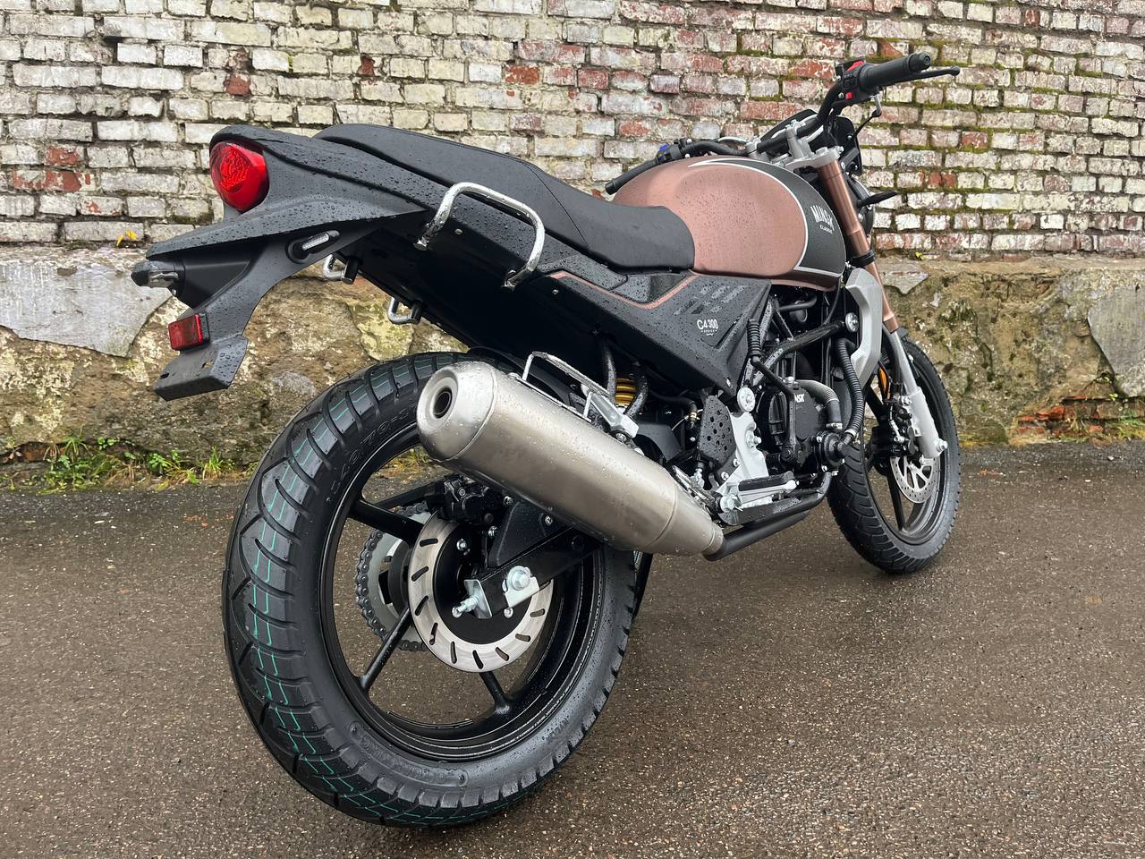 photo_20_2025-11-19_11-02-51