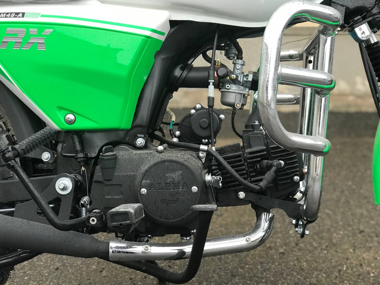 photo_2024-10-11_12-31-23