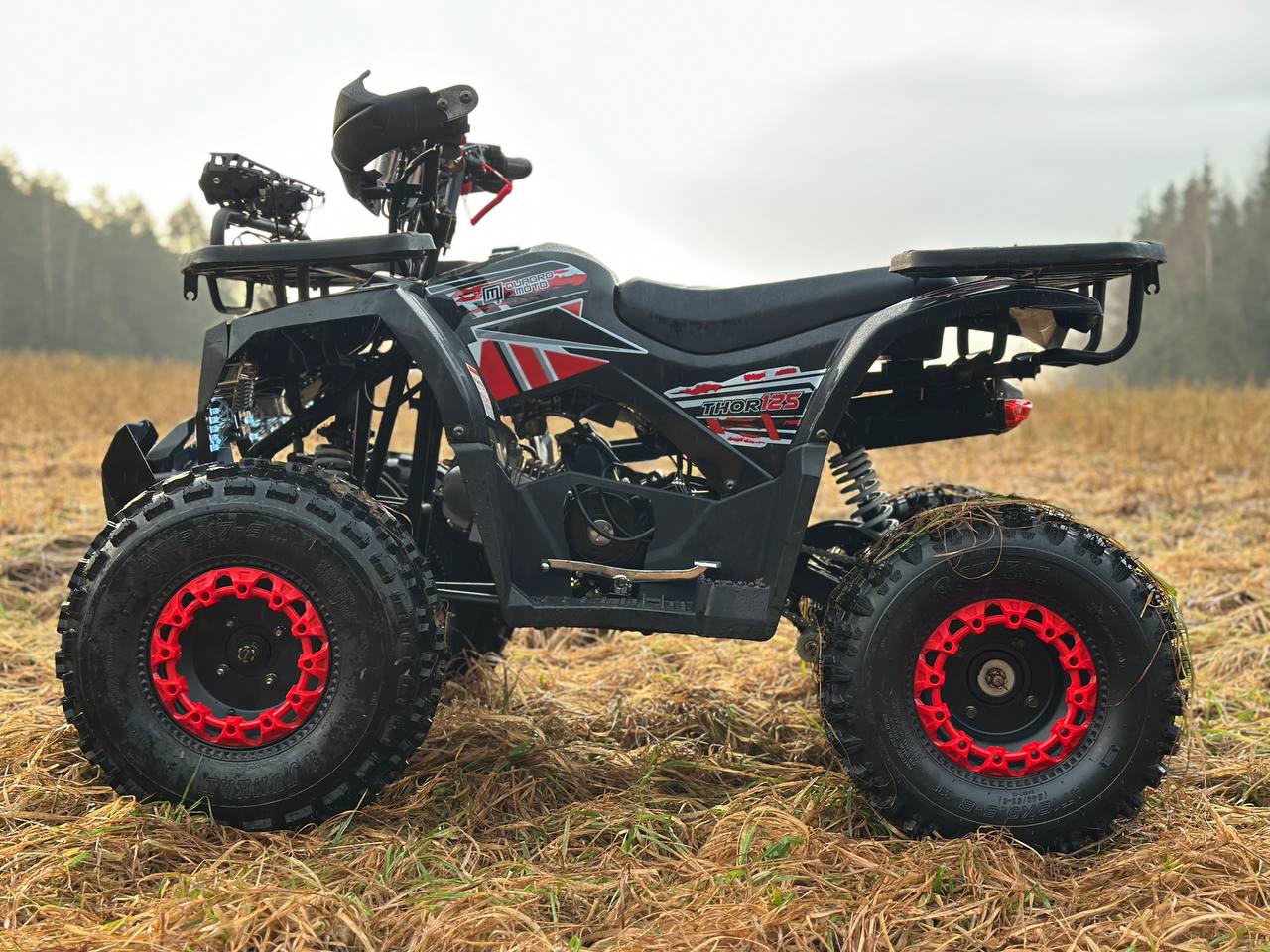 photo_16_2025-12-22_12-02-39