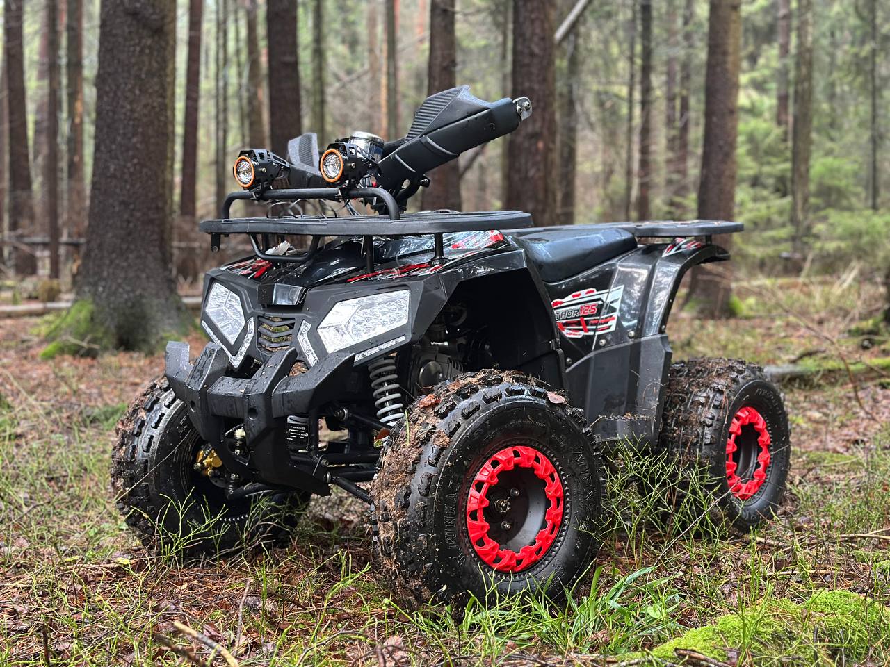 photo_24_2025-12-22_12-02-39