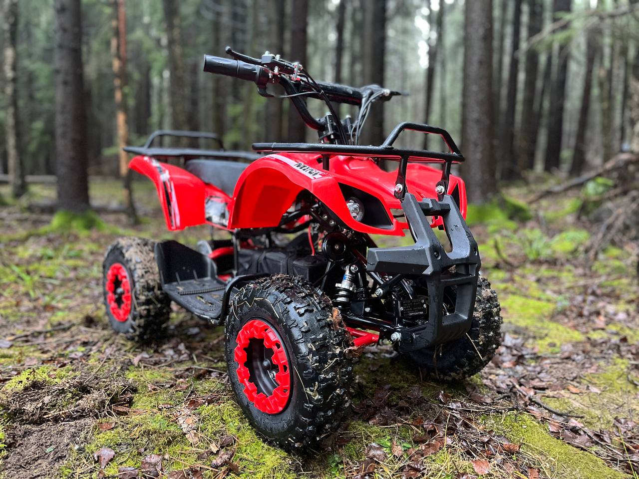 photo_3_2025-12-22_11-58-46