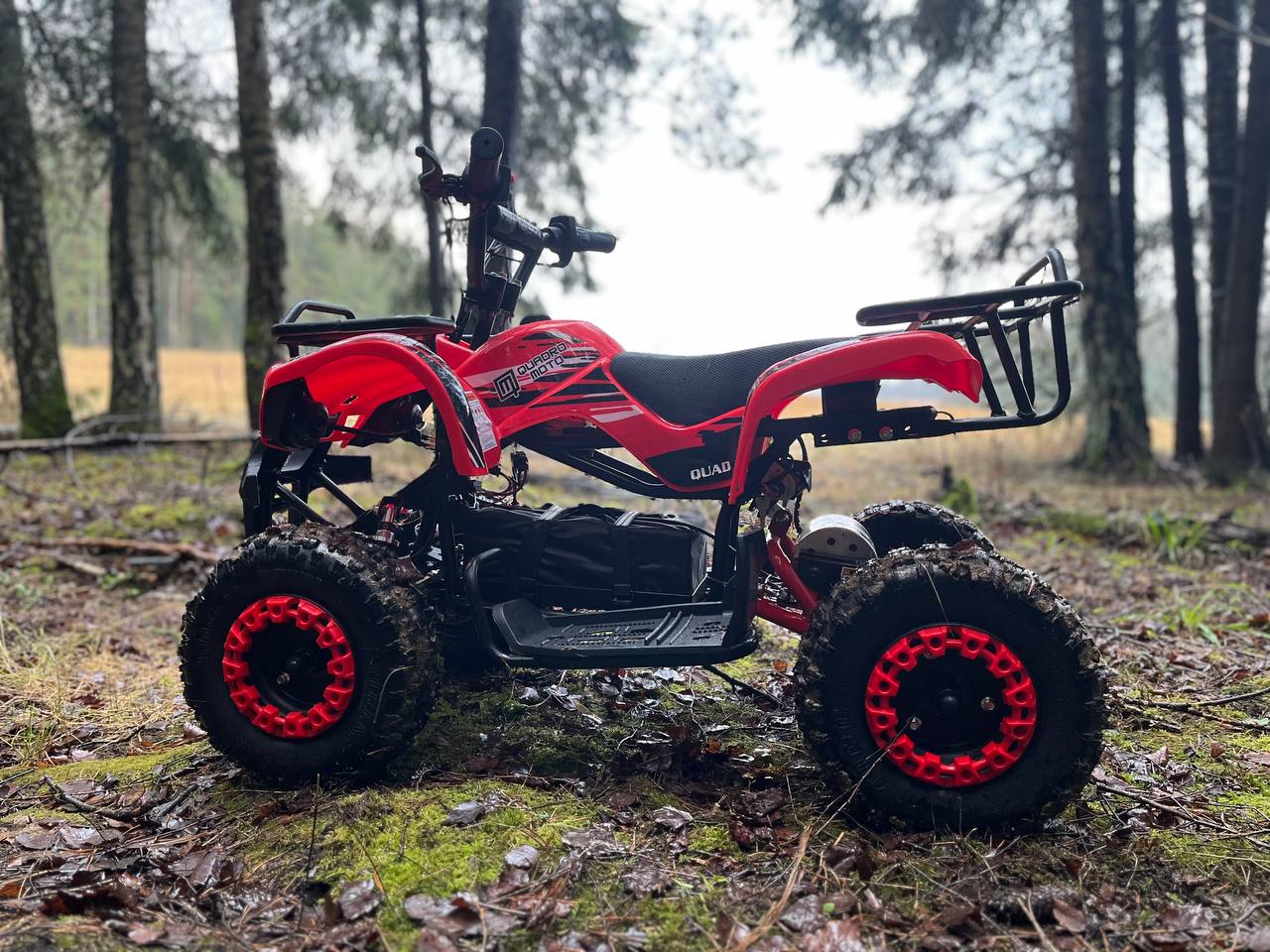 photo_6_2025-12-22_11-58-46