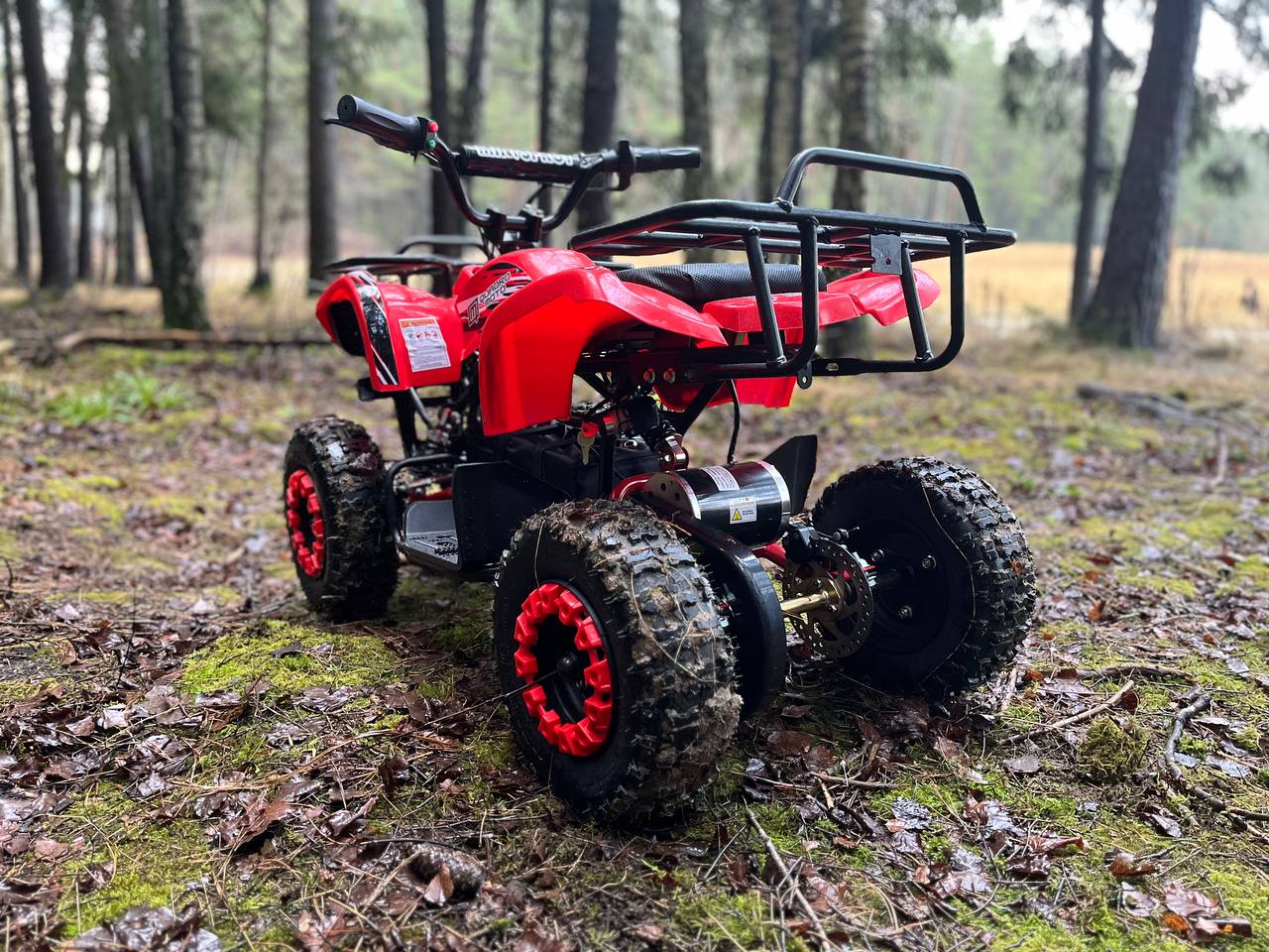 photo_7_2025-12-22_11-58-46