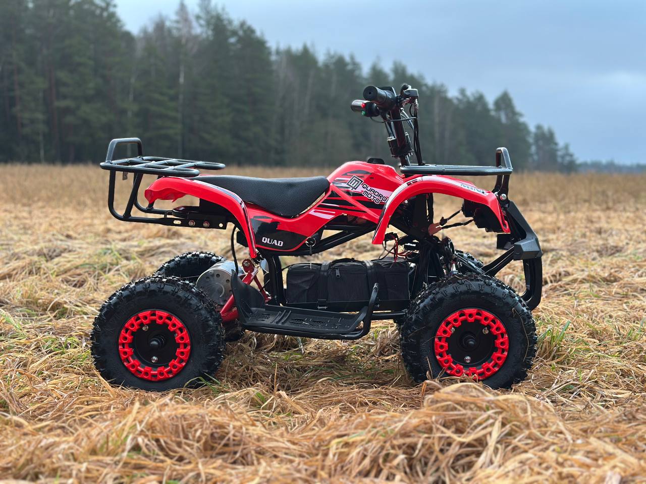 photo_8_2025-12-22_11-58-46